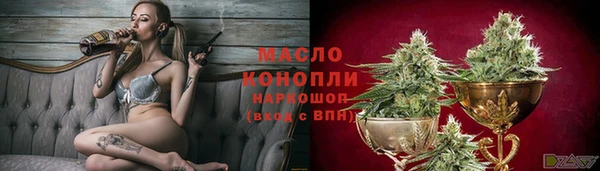 прущие грибы Алзамай