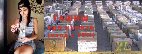 прущие грибы Алзамай