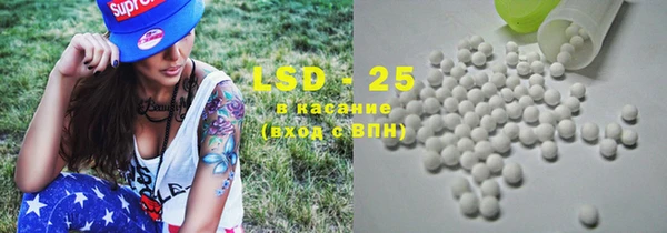 прущие грибы Алзамай