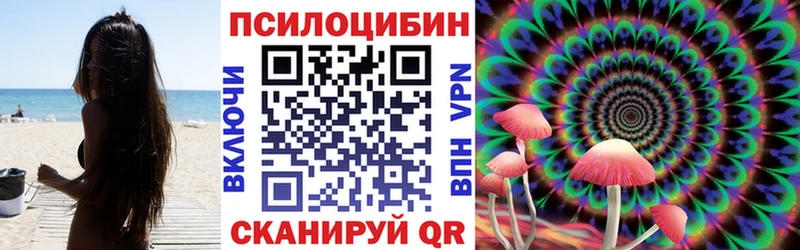 Галлюциногенные грибы мицелий  продажа наркотиков  Таруса 